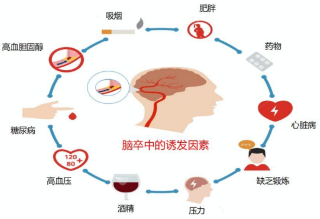 脑出血的主要原因是什么？如何预防？(图1)