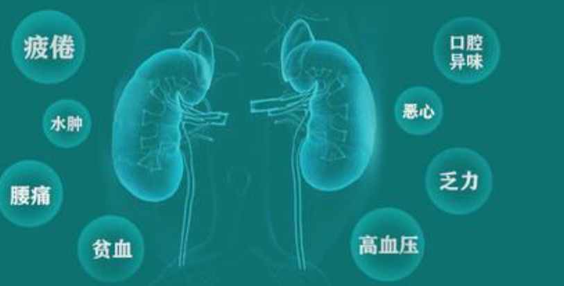 慢性肾脏病能否被早期发现并有效管理？(图1)