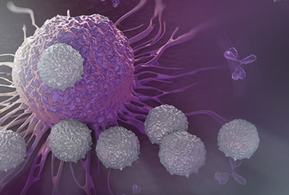 淋巴细胞增多或减少可能与哪些疾病有关？(图1)